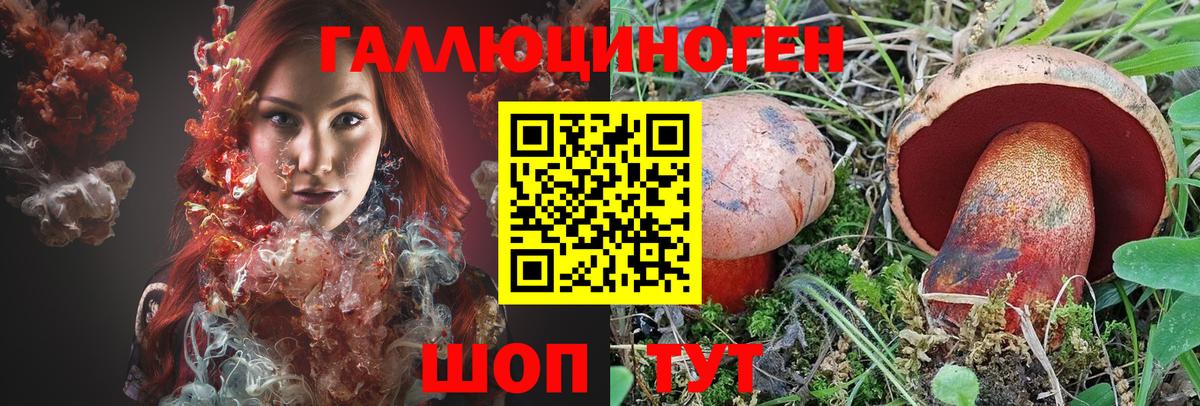 Бузулук  Галлюциногенные грибы MAGIC MUSHROOMS  Вход с VPN 